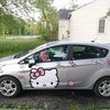 mrskitty53